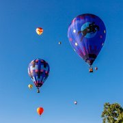 2022-06-24_070736_WTA_R6 Michigan Challenge Balloonfest, Howell, Michigan