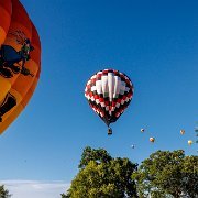 2022-06-24_070946_WTA_R5 Michigan Challenge Balloonfest, Howell, Michigan