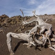 2024-04-21_381158_WTA_R5-2 2024 Road Trip - Day 20 Craters of the Moon National Monument and Preserve is a U.S. national monument and national preserve in the Snake River Plain in central...