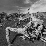 2024-04-21_381158_WTA_R5 2024 Road Trip - Day 20 Craters of the Moon National Monument and Preserve is a U.S. national monument and national preserve in the Snake River Plain in central...