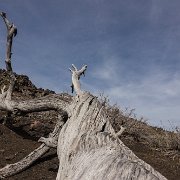 2024-04-21_381193_WTA_R5 2024 Road Trip - Day 20 Craters of the Moon National Monument and Preserve is a U.S. national monument and national preserve in the Snake River Plain in central...