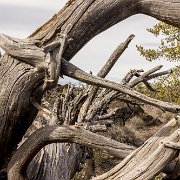 2024-04-21_381233_WTA_R5 2024 Road Trip - Day 20 Craters of the Moon National Monument and Preserve is a U.S. national monument and national preserve in the Snake River Plain in central...