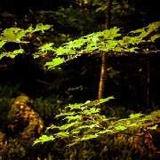 2022-10-01_108451_WTA_R5 Miners Falls, Pictured Rocks National Lakeshore, Munising, Michigan