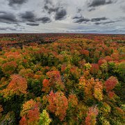 2024-10-14_010262_WTA_Mavic 3 Fall Colors - Day 2 Sault Saint Marie to Munising