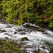 2024-05-01_435682_WTA_R5 Sweetwater Creek Falls, Mapleton, Oregon