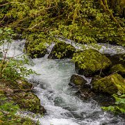 2024-05-01_435758_WTA_R5 Sweetwater Creek Falls, Mapleton, Oregon