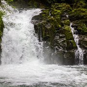 2024-05-01_435783_WTA_R5 Sweetwater Creek Falls, Mapleton, Oregon