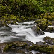 2024-05-01_435810_WTA_R5 Sweetwater Creek Falls, Mapleton, Oregon