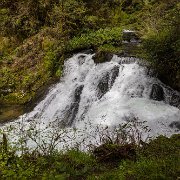 2024-05-01_435931_WTA_R5 2024 Road Trip - Day 30 Beaver Creek Falls