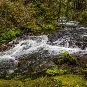 2024-05-01_435949_WTA_R5 2024 Road Trip - Day 30 Beaver Creek Falls