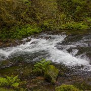 2024-05-01_435959_WTA_R5 2024 Road Trip - Day 30 Beaver Creek Falls