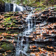 2020-10-23_00774_WTA_R5-2 Ricketts Glen State Park, Luzerne, Sullivan, and Columbia counties, Pennsylvania