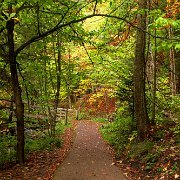 2024-10-15_488209_WTA_R5m2 Fall Colors - Day 3 Munising to Marquette