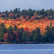 2024-10-15_488943_WTA_R5m2 Fall Colors - Day 3 Munising to Marquette