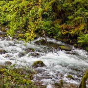 2024-05-01_435677_WTA_R5 Sweetwater Creek Falls, Mapleton, Oregon