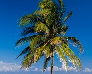 2006-02-07_03392_WTA_5DM1