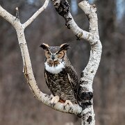 2016-03-19_90890_WTA_5DSR-Edit