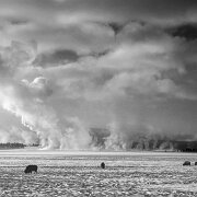 2025-01-22_296189_WTA_R6m2-Edit Yellowstone Day 2