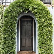 2016-04-12_19323_WTA_5DSR Charleston South Carolina
