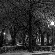 2021-01-03_048875_WTA_R5 Detroit Before Dawn