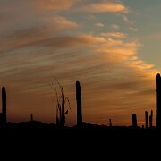 2013-04-20_22-02_20587_WTA_5DM3