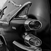 2019-09-21_15896_WTA_5D Mark IV Hearse Fest - 2019