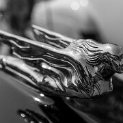 2023-06-17_173454_WTA_R5 Henry Ford Motor Muster