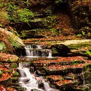 2020-10-23_00999_WTA_R5 Ricketts Glen State Park, Luzerne, Sullivan, and Columbia counties, Pennsylvania