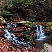 2020-10-23_01011_WTA_R5 Ricketts Glen State Park, Luzerne, Sullivan, and Columbia counties, Pennsylvania