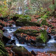 2020-10-23_01179_WTA_R5 Ricketts Glen State Park, Luzerne, Sullivan, and Columbia counties, Pennsylvania