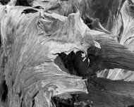 2022-12-08_144846_WTA_R5 Silver Lake State Park