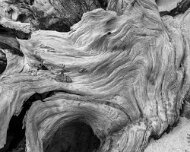 2022-12-08_144872_WTA_R5 Silver Lake State Park