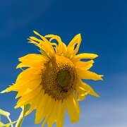 2014-08-28_47217_WTA_5DM3-2