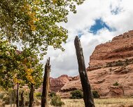 2015-10-30_09876_WTA_5DSR