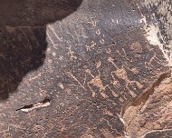 2022-05-22_128324_WTA_R5 Petrified Forest National Park is an American national park in Navajo and Apache counties in northeastern Arizona. Named for its large deposits of petrified...