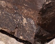 2022-05-22_128336_WTA_R5 Petrified Forest National Park is an American national park in Navajo and Apache counties in northeastern Arizona. Named for its large deposits of petrified...