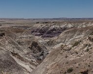 2022-05-22_128492_WTA_R5 Petrified Forest National Park is an American national park in Navajo and Apache counties in northeastern Arizona. Named for its large deposits of petrified...