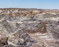 2022-05-22_128556_WTA_R5 Petrified Forest National Park is an American national park in Navajo and Apache counties in northeastern Arizona. Named for its large deposits of petrified...