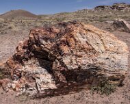 2022-05-22_128671_WTA_R5 Petrified Forest National Park is an American national park in Navajo and Apache counties in northeastern Arizona. Named for its large deposits of petrified...