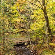 2014-10-09_56462_WTA_5DM3