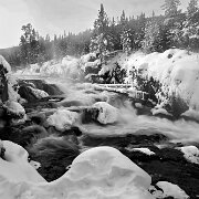 2025-01-22_296907_WTA_R5m2-Edit Yellowstone Day 2