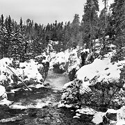 2025-01-22_296960_WTA_R5m2-Edit-2 Yellowstone Day 2
