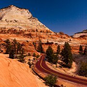 IMG_2010_04_17_8895-2 Zion National Park