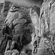 IMG_2010_04_18_9211_bw_t-2 Zion National Park