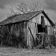 2012-04-15_12-05_00362_WTA_5DM3 Old Barn, St. Johns, Michigan