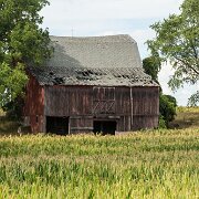 2012-08-12_16-21_07567_WTA_5DM3 Barns - Washtenaw County