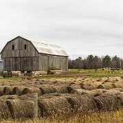 2012-11-03_14-42_13244_WTA_5DM3 Old Barn, Curtis, Michigan