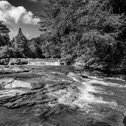 2021-07-18_44252_WTA_R5 Albert Falls, Thomas, West Virginia