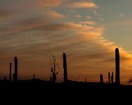 2013-04-20_22-02_20587_WTA_5DM3