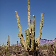 2018-03-23_32529_WTA_5DM4 Arizona